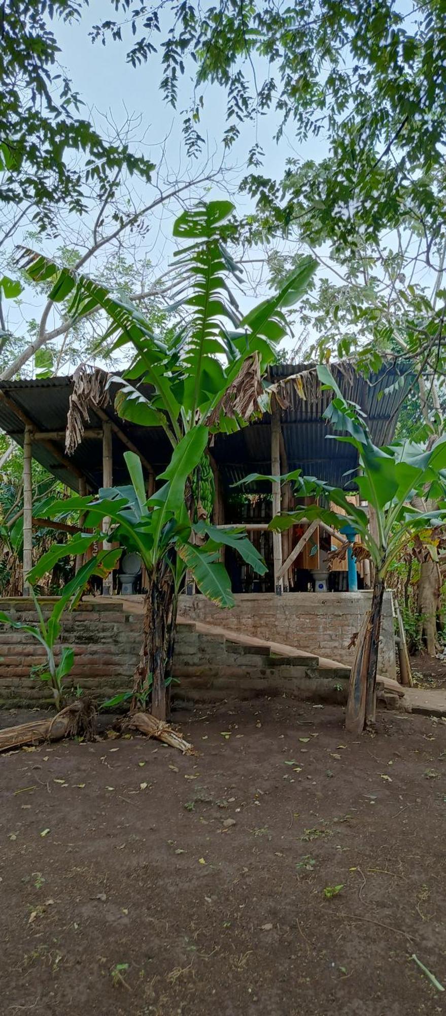 Hotel La Sirenita - Ometepe Altagracia Exterior foto